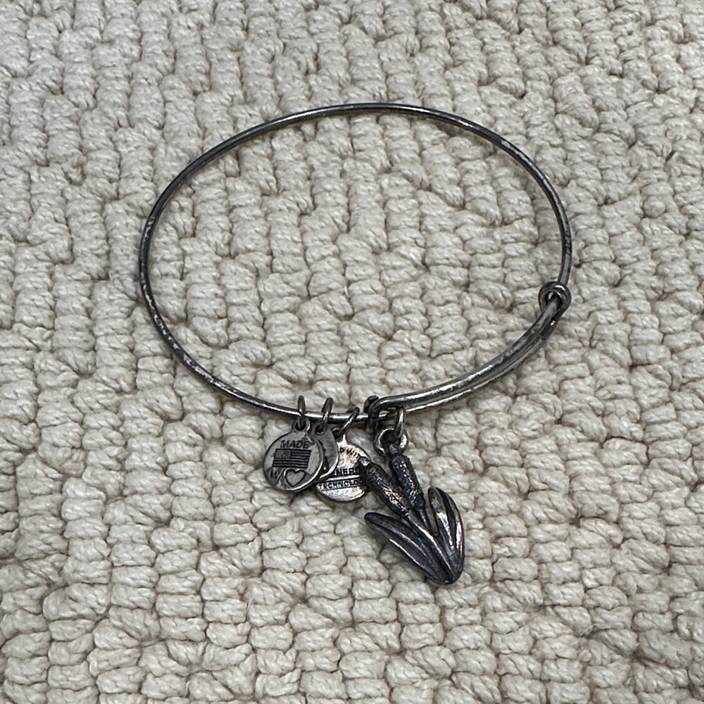 ❤️ 5/$25 Alex and Ani Chic Silver Bangle with Reed Plant Charm